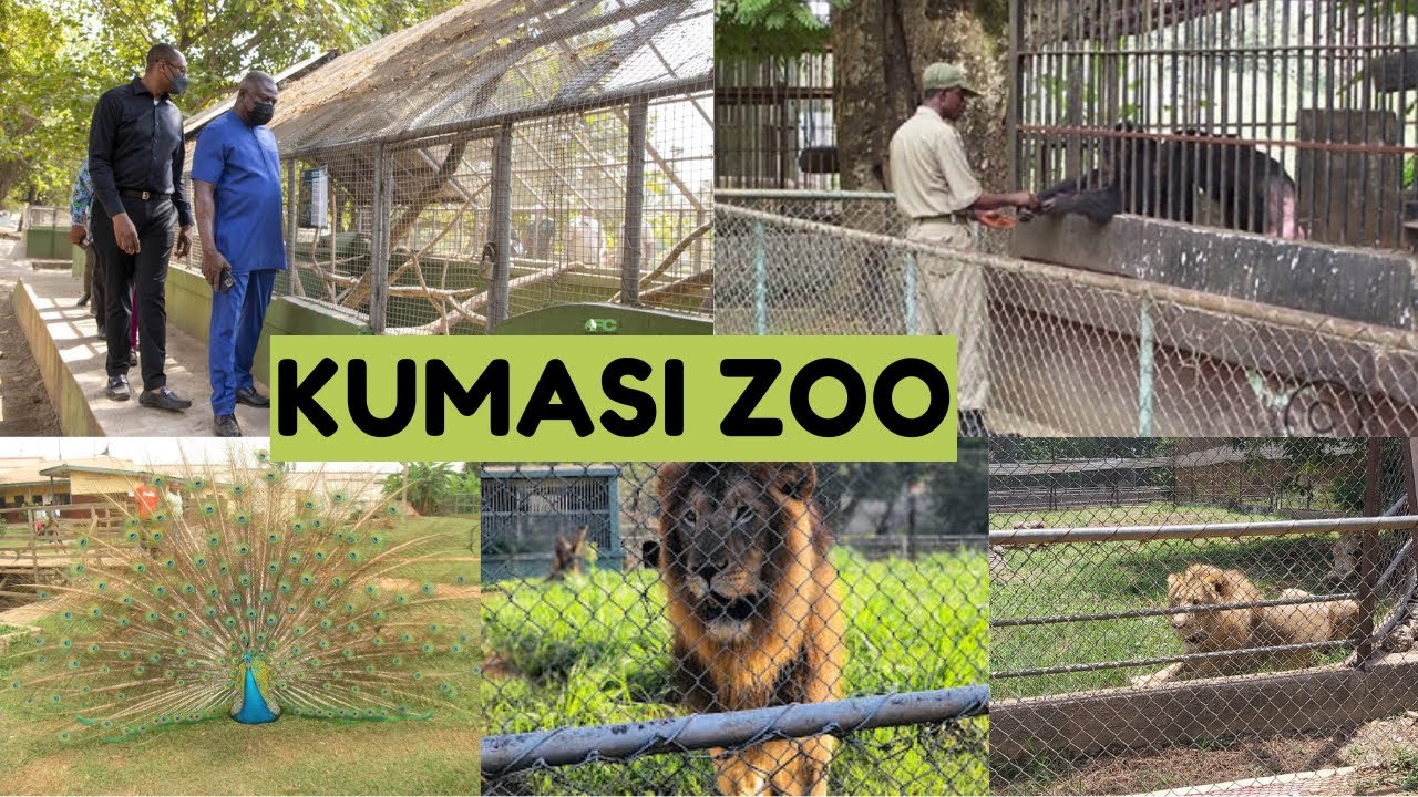 Photograph of Kumasi Zoo